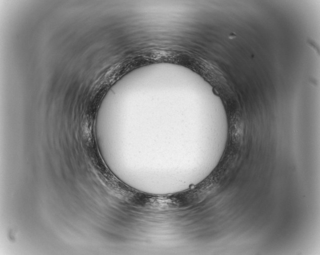 X0000101430607200807281002