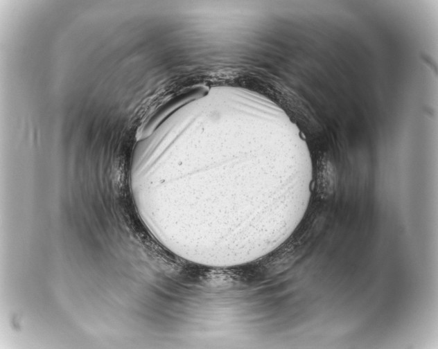 X0000101430608200807281002