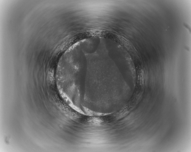 X0000101430610200807281002