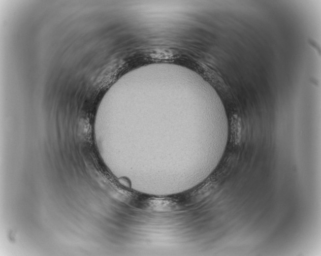 X0000101430614200807281002