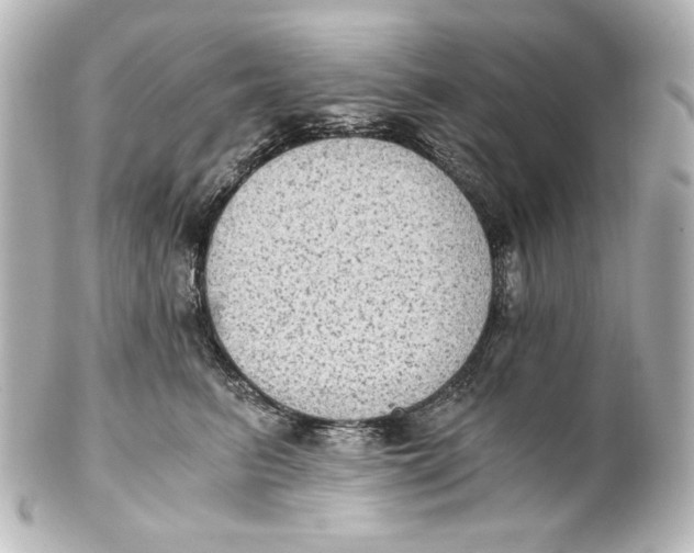 X0000101430615200807281002