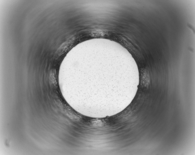 X0000101430616200807281002