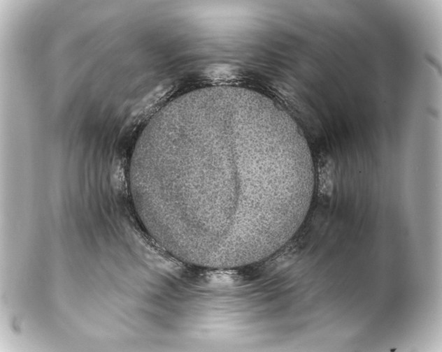 X0000101430618200807281002