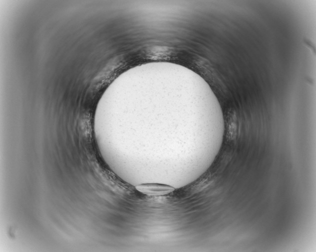 X0000101430620200807281002