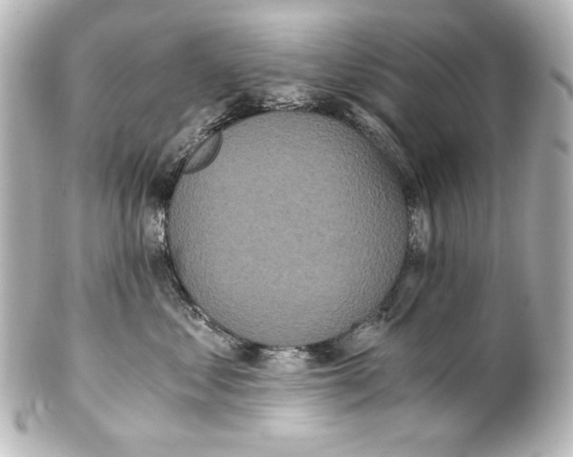 X0000101430621200807281002