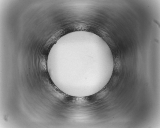 X0000101430622200807281002