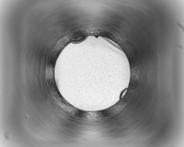 X0000101430623200807281002