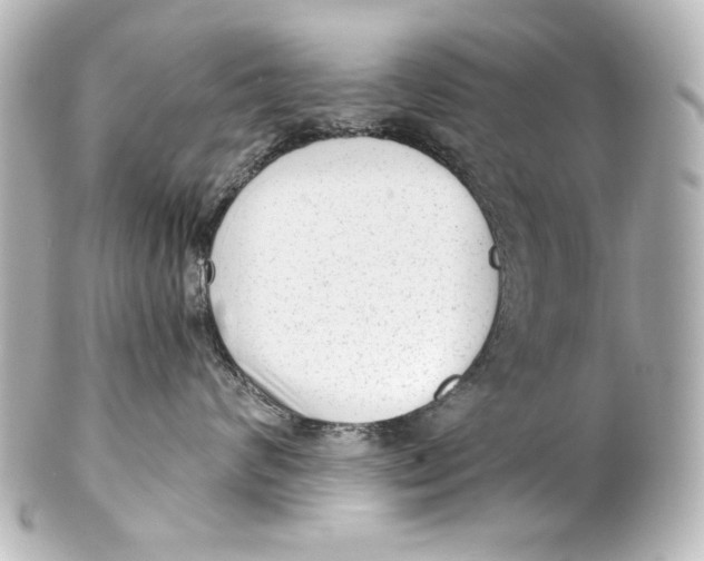 X0000101430624200807281002