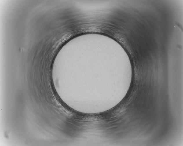 X0000101430625200807281001