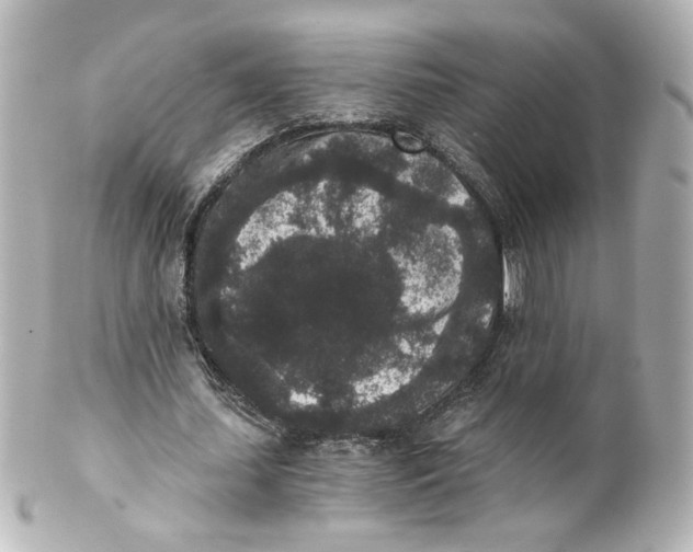 X0000101430627200807281001