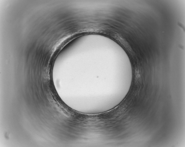 X0000101430628200807281001