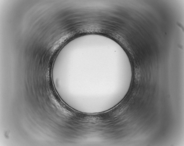 X0000101430629200807281001