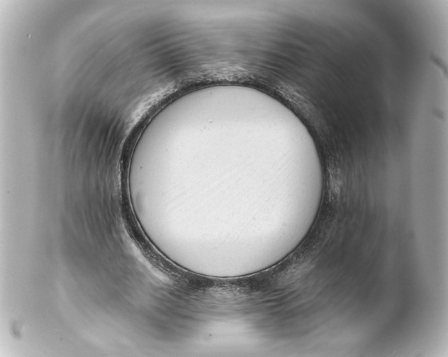 X0000101430630200807281001