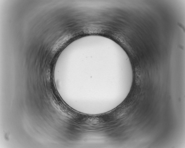 X0000101430631200807281001