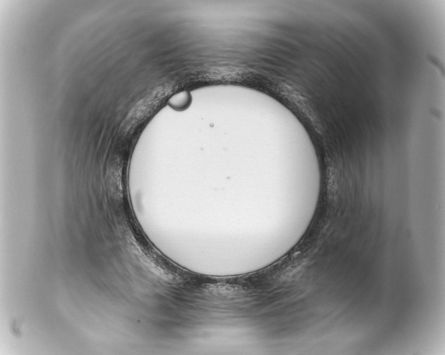 X0000101430633200807281001