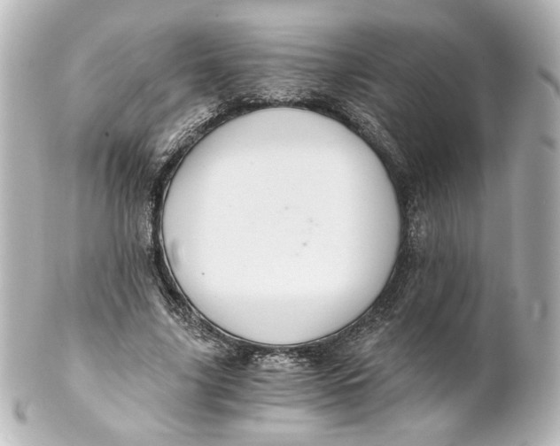 X0000101430635200807281001