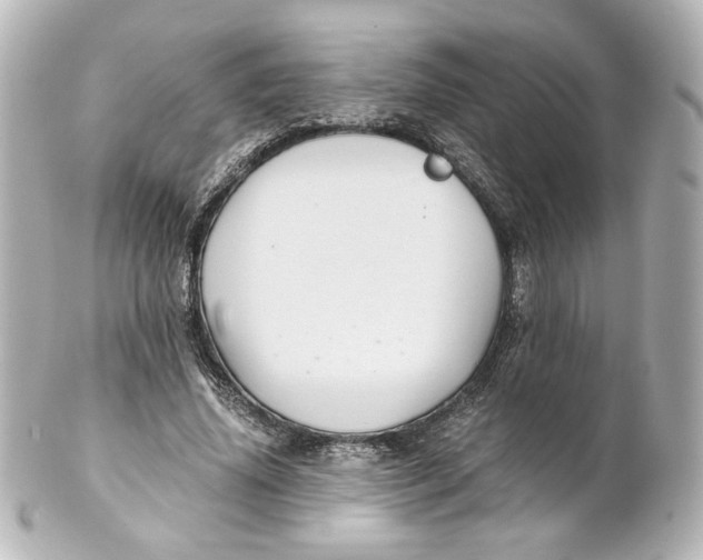 X0000101430636200807281001