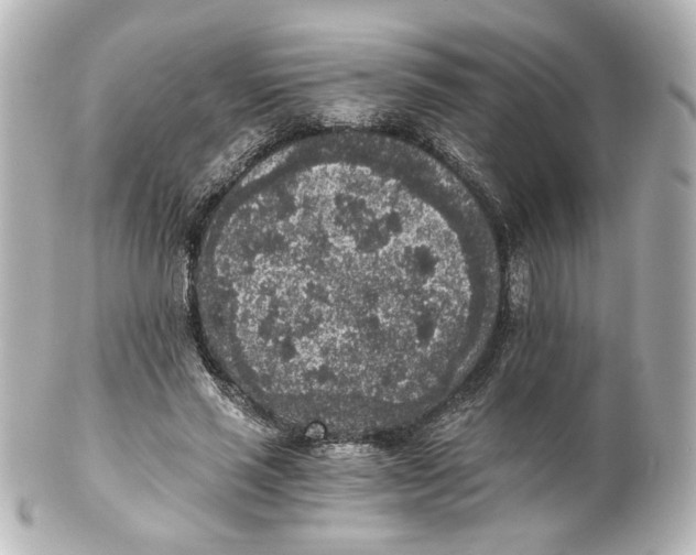 X0000101430637200807281001