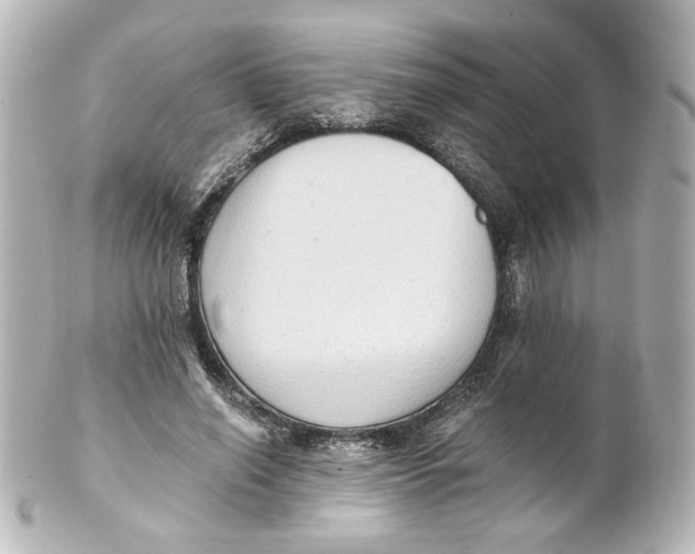 X0000101430638200807281001