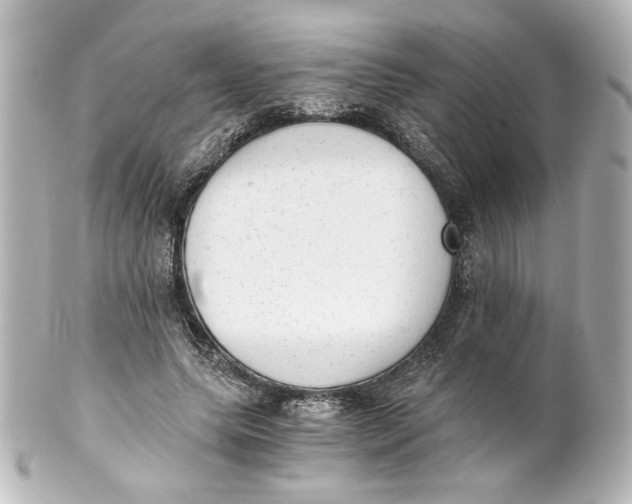 X0000101430639200807281002