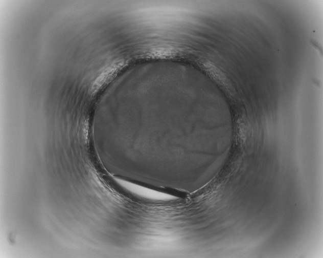 X0000101430640200807281002