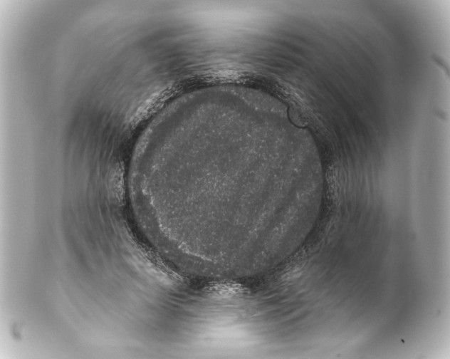 X0000101430642200807281002