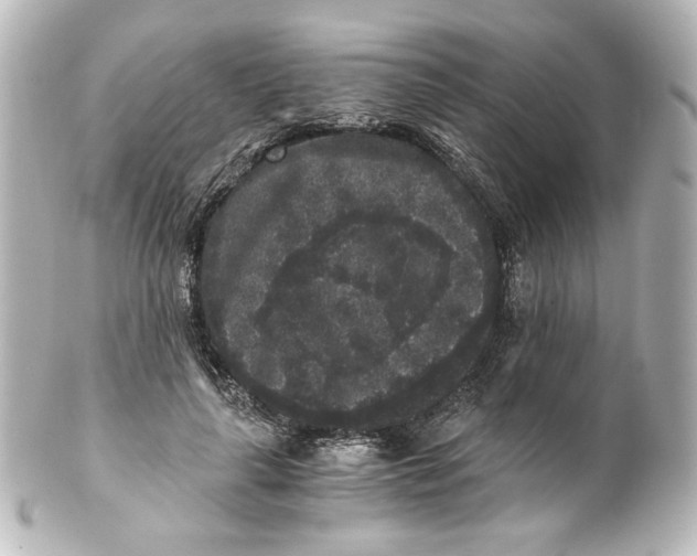 X0000101430643200807281002