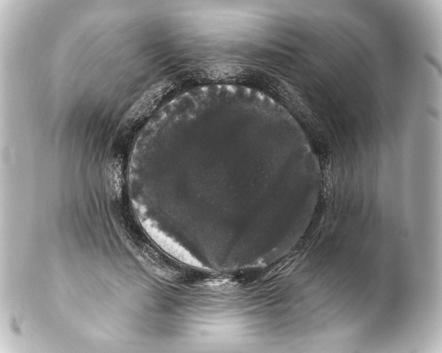 X0000101430644200807281002