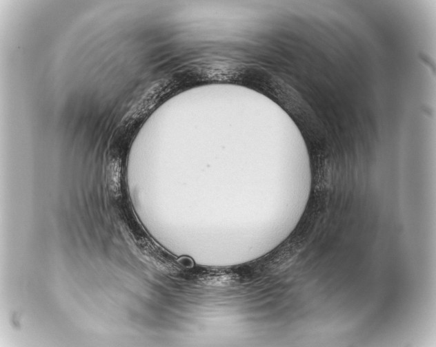 X0000101430646200807281002