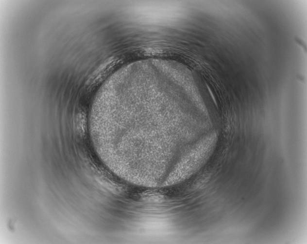 X0000101430648200807281002