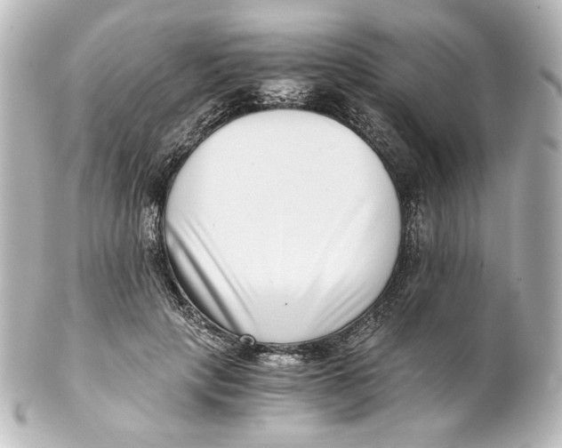 X0000101430649200807281002