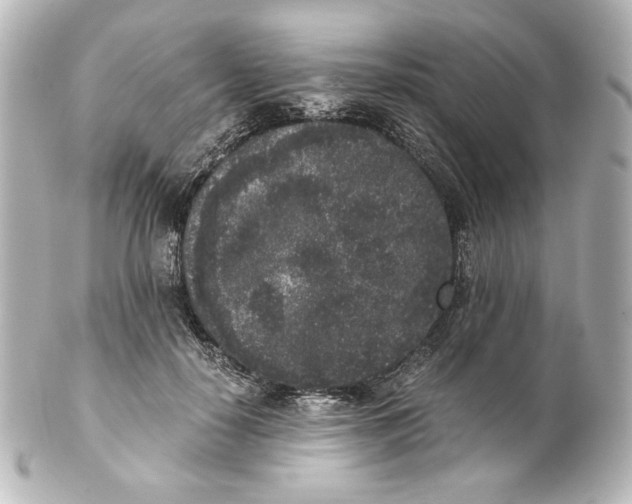 X0000101430650200807281002