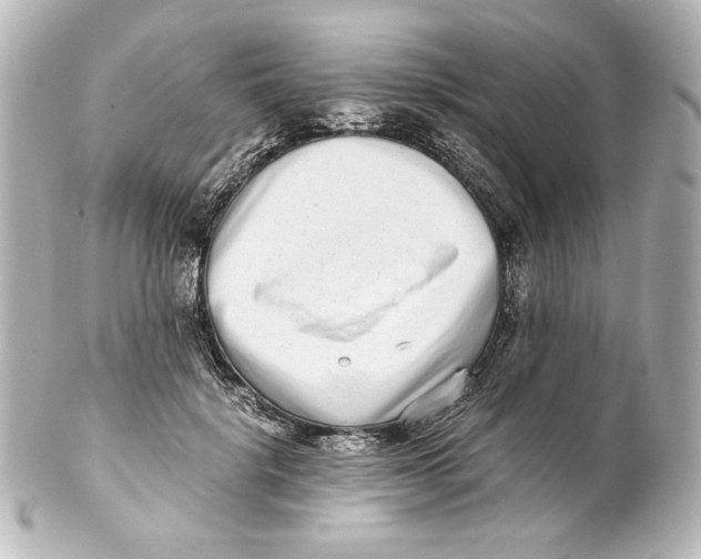 X0000101430652200807281002