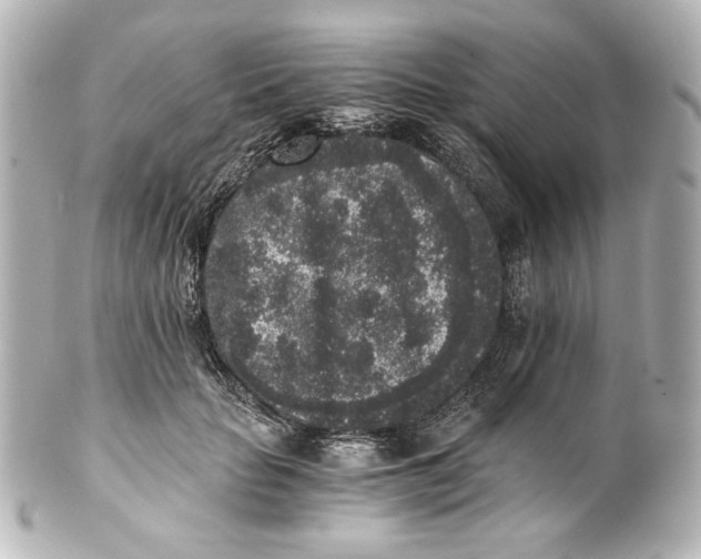 X0000101430653200807281002