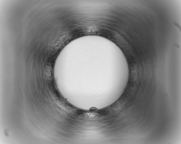 X0000101430654200807281002