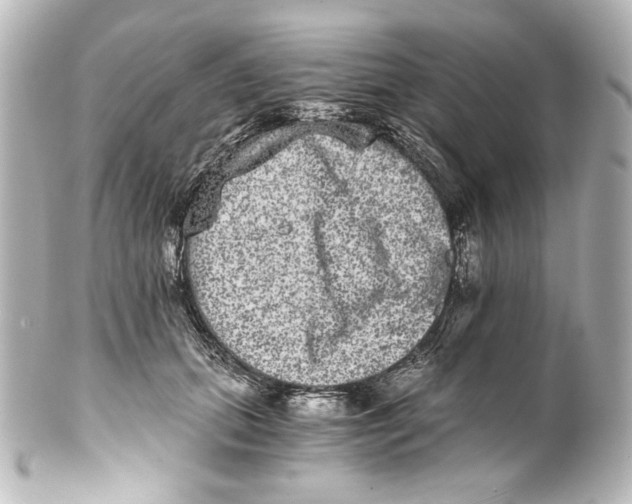 X0000101430655200807281002