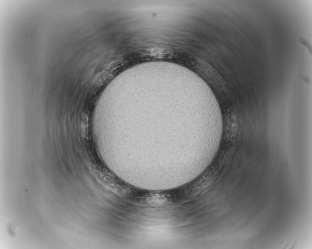 X0000101430656200807281002