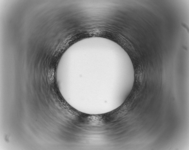 X0000101430660200807281002