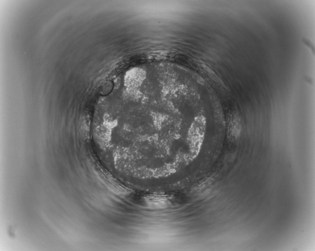 X0000101430661200807281002