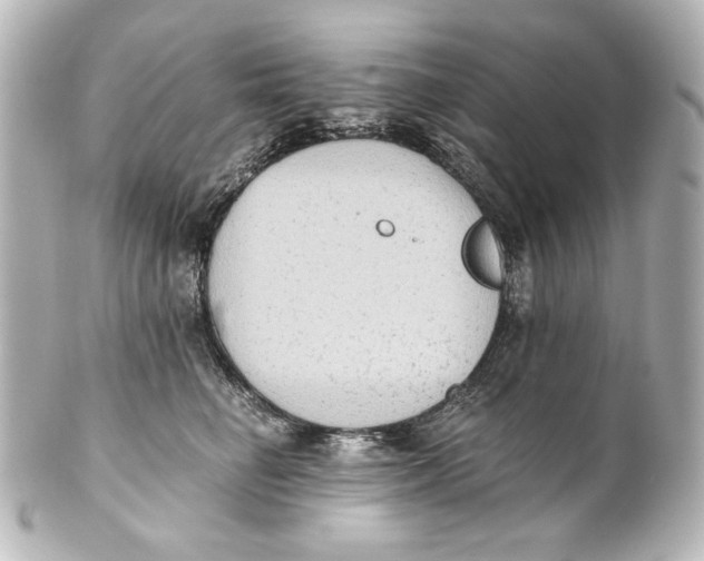 X0000101430662200807281002