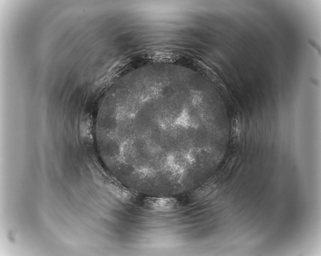 X0000101430663200807281002