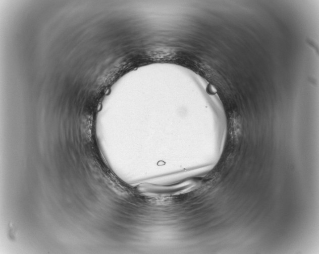 X0000101430664200807281002