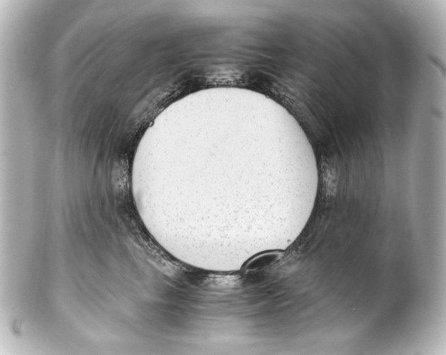 X0000101430665200807281002