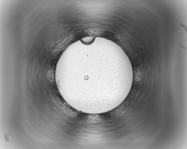 X0000101430666200807281002