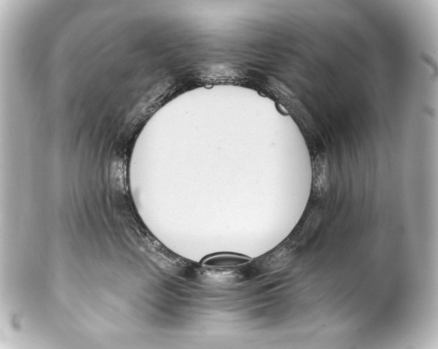 X0000101430669200807281002