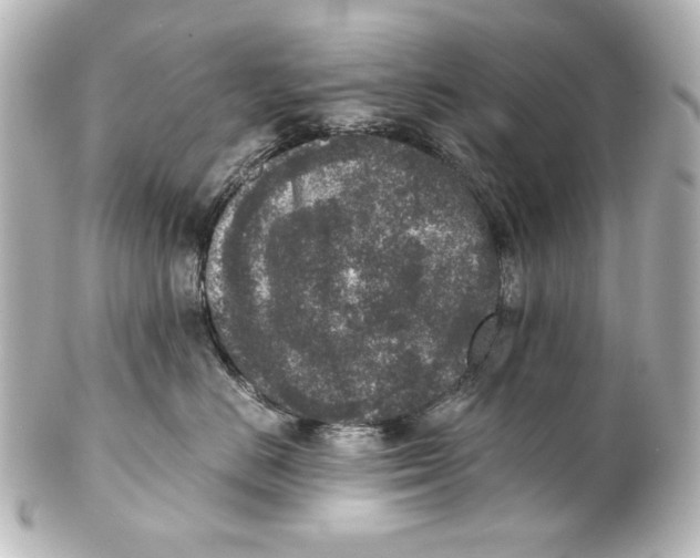 X0000101430670200807281002