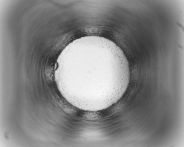 X0000101430671200807281002