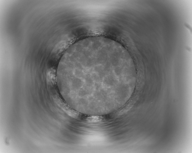 X0000101430672200807281002