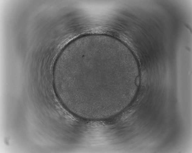 X0000101430673200807281001