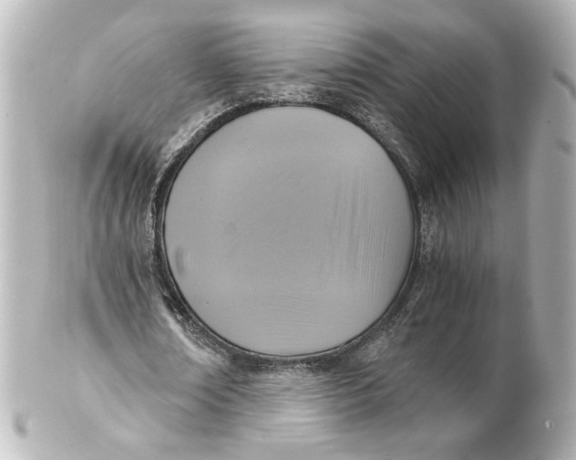 X0000101430674200807281001